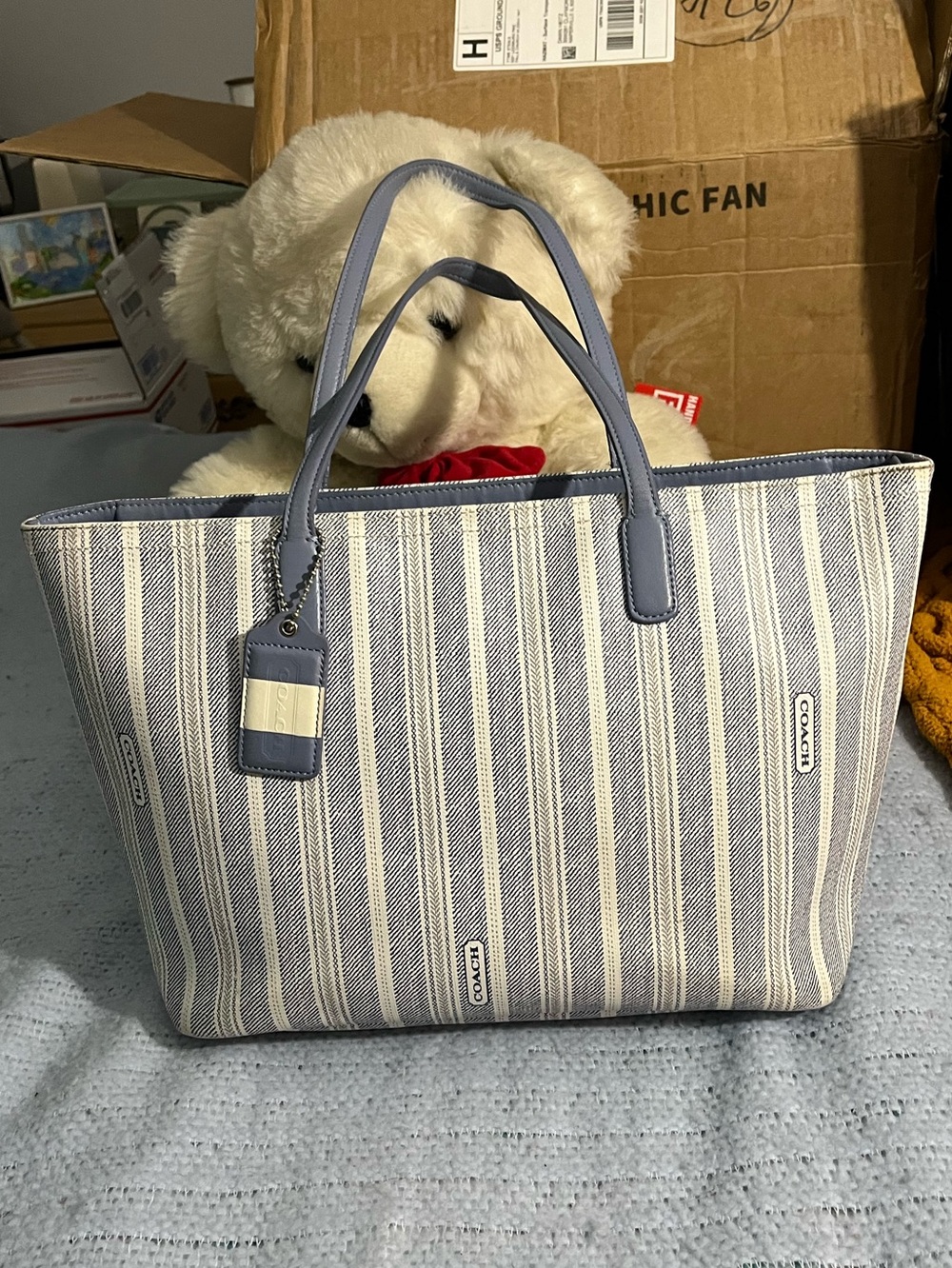 Coach Blue/Gray Striped Canvas Tote with Light Blue Leather Trim